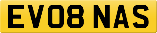 EV08NAS